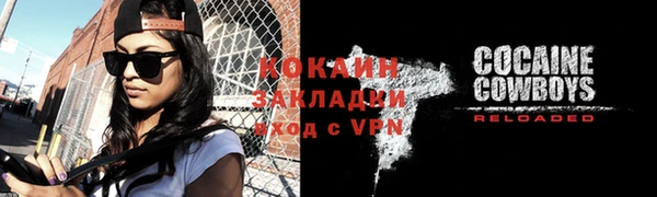 ГАЛЛЮЦИНОГЕННЫЕ ГРИБЫ Аркадак