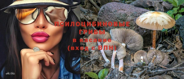 шишки Армянск