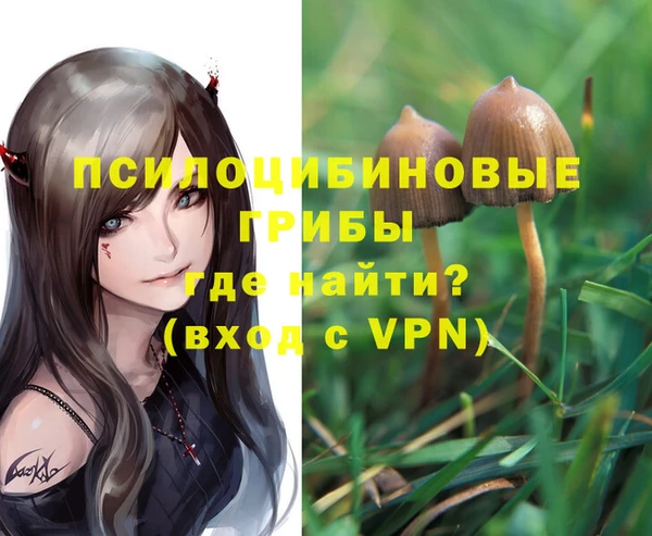 ГАЛЛЮЦИНОГЕННЫЕ ГРИБЫ Аркадак