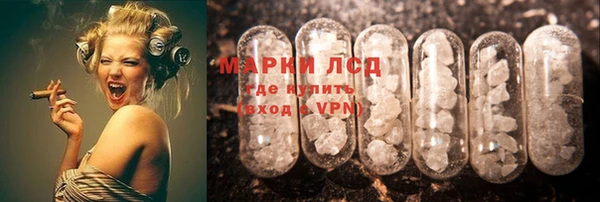 ГАЛЛЮЦИНОГЕННЫЕ ГРИБЫ Аркадак