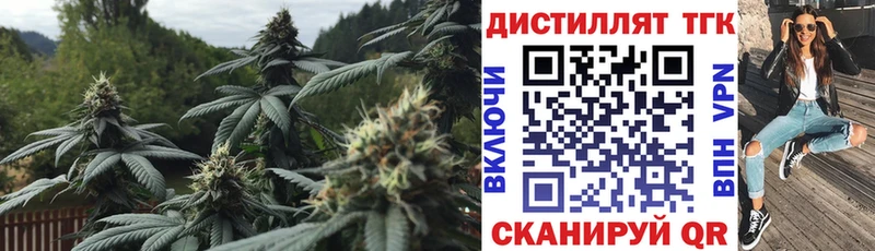 где купить наркотик  Георгиевск  Дистиллят ТГК Wax 